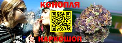 прущие грибы Канаш