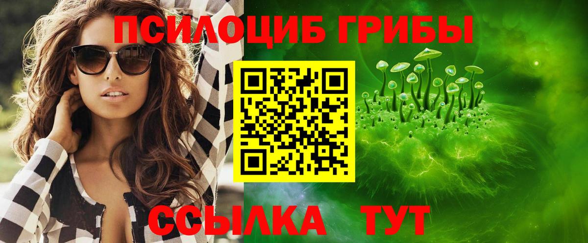 Псилоцибиновые грибы прущие грибы  Вход с VPN  Псилоцибиновые грибы Psilocybine cubensis  Искитим 